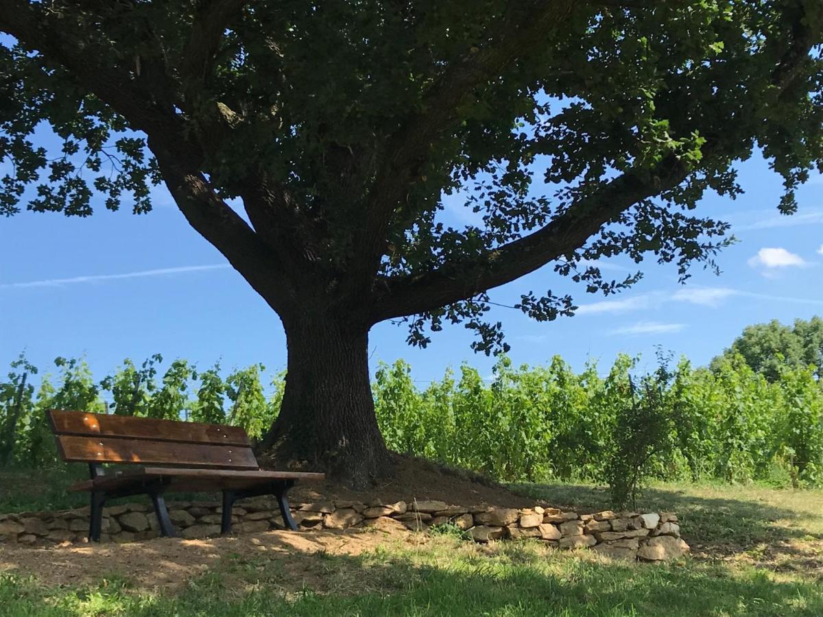 Couette-café Le Domaine De Gorneton Chasse-sur-Rhône